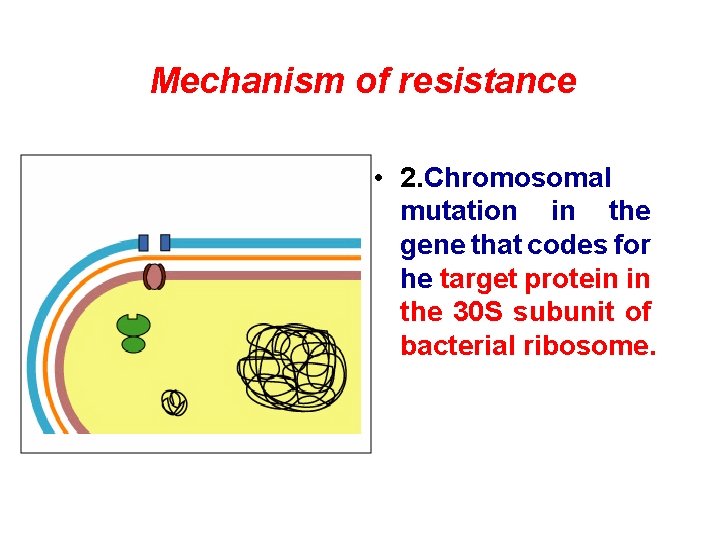 Mechanism of resistance • 2. Chromosomal mutation in the gene that codes for he