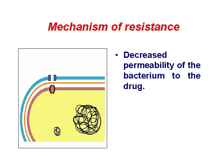 Mechanism of resistance • Decreased permeability of the bacterium to the drug. 