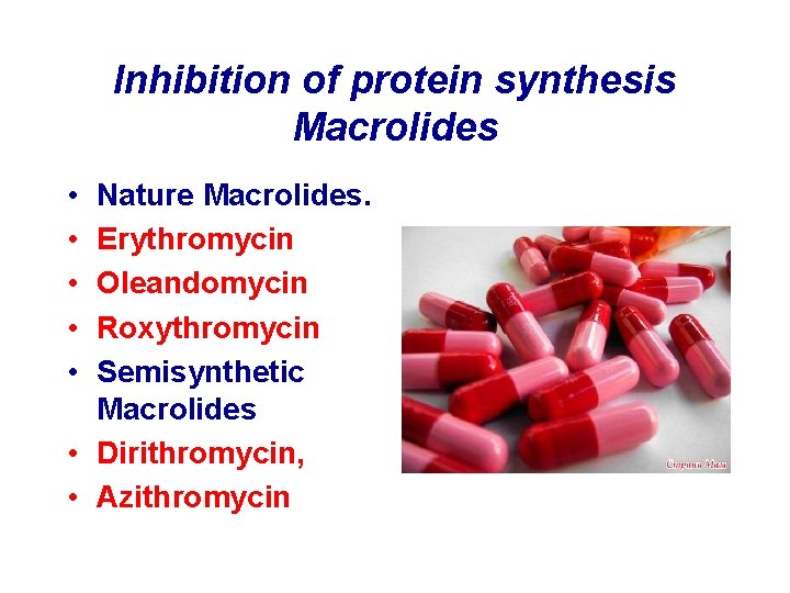 Inhibition of protein synthesis Macrolides • • • Nature Macrolides. Erythromycin Oleandomycin Roxythromycin Semisynthetic