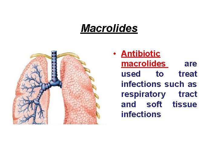 Macrolides • Antibiotic macrolides are used to treat infections such as respiratory tract and