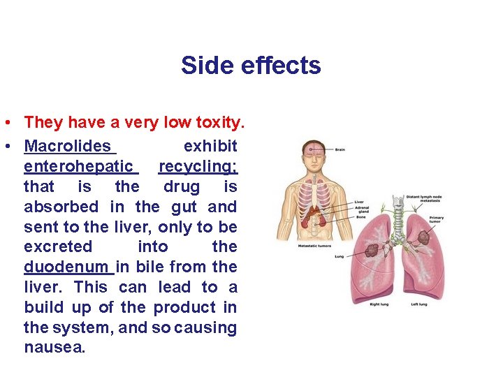 Side effects • They have a very low toxity. • Macrolides exhibit enterohepatic recycling;