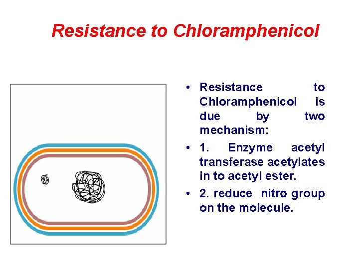 Resistance to Chloramphenicol • Resistance to Chloramphenicol is due by two mechanism: • 1.