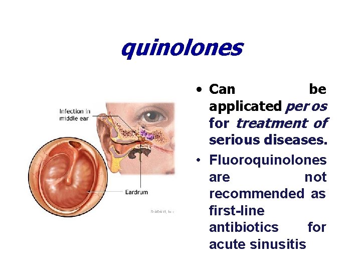 quinolones • Can be applicated per os for treatment of serious diseases. • Fluoroquinolones
