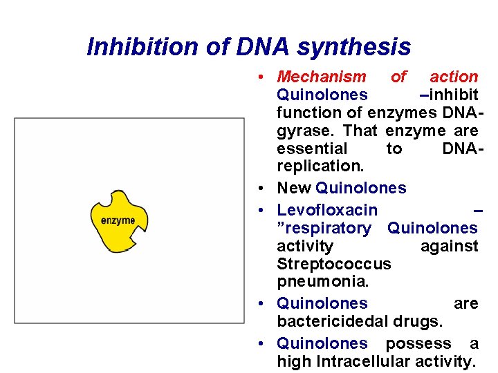 Inhibition of DNA synthesis • Mechanism of action Quinolones –inhibit function of enzymes DNAgyrase.