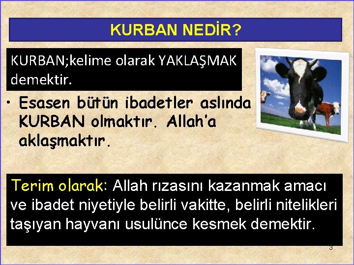 KURBAN NEDİR? KURBAN; kelime olarak YAKLAŞMAK demektir. • Esasen bütün ibadetler aslında KURBAN olmaktır.