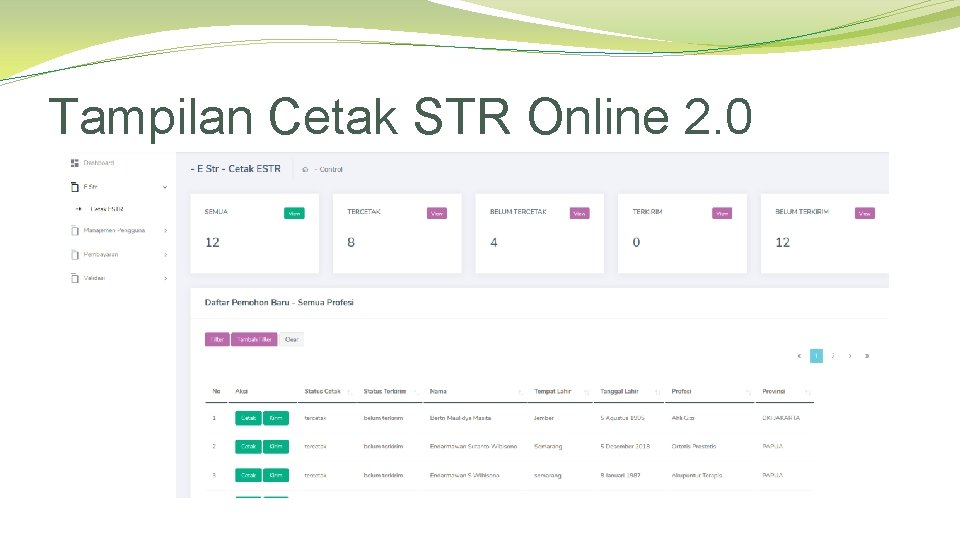 Tampilan Cetak STR Online 2. 0 