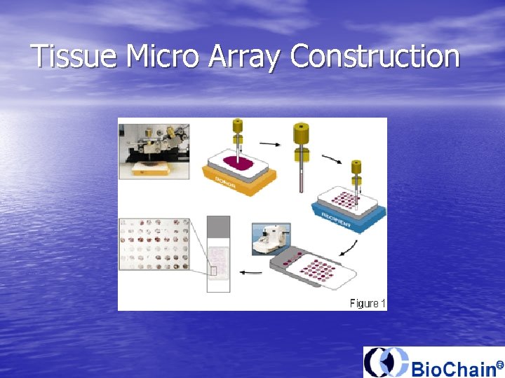 Tissue Micro Array Construction 
