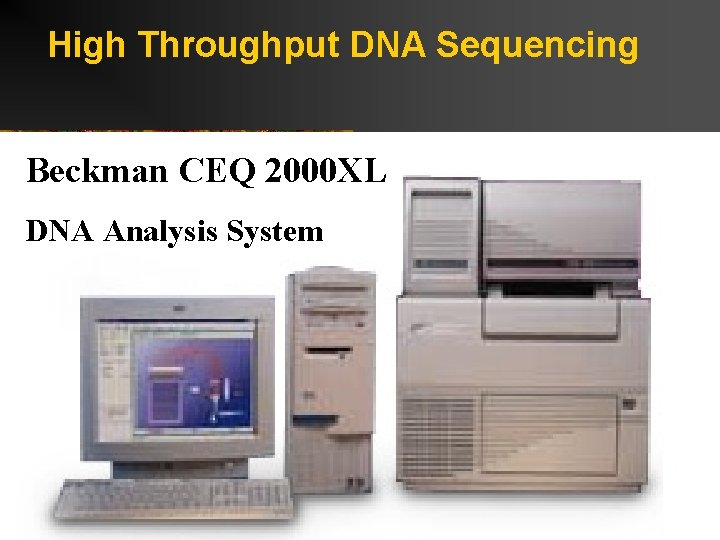 High Throughput DNA Sequencing Beckman CEQ 2000 XL DNA Analysis System 