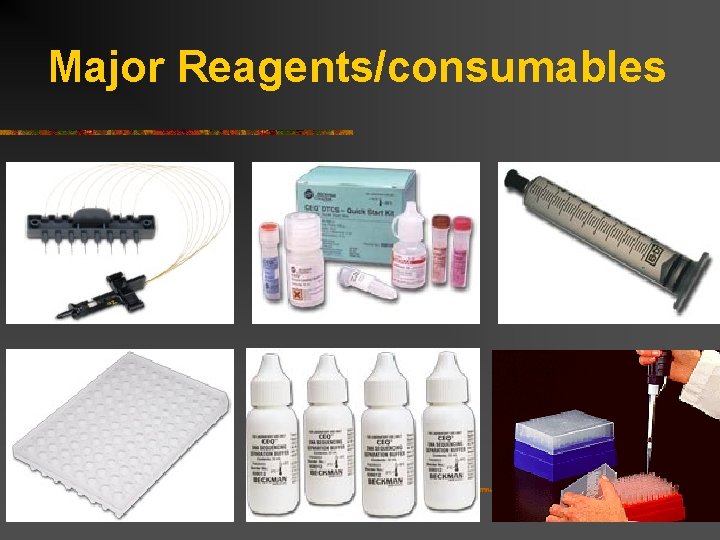 Major Reagents/consumables 