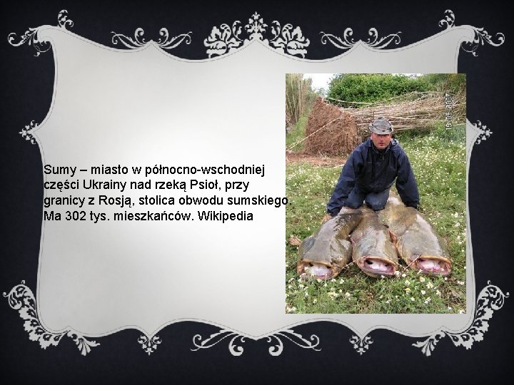 Sumy – miasto w północno-wschodniej części Ukrainy nad rzeką Psioł, przy granicy z Rosją,