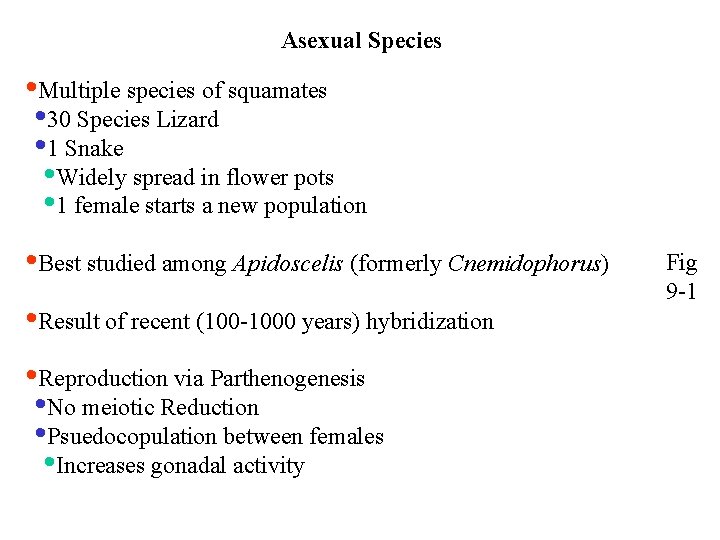 Asexual Species • Multiple species of squamates • 30 Species Lizard • 1 Snake