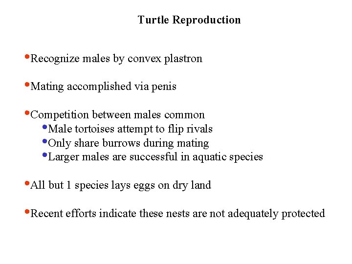 Turtle Reproduction • Recognize males by convex plastron • Mating accomplished via penis •