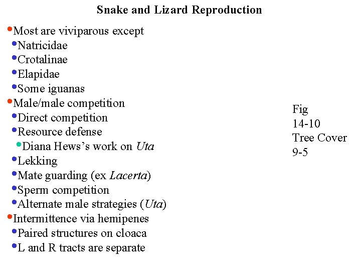 Snake and Lizard Reproduction • Most are viviparous except • Natricidae • Crotalinae •