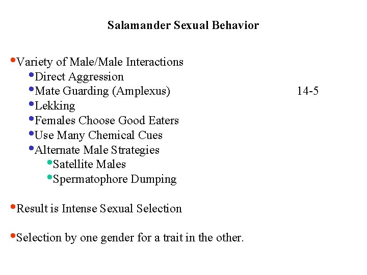 Salamander Sexual Behavior • Variety of Male/Male Interactions • Direct Aggression • Mate Guarding