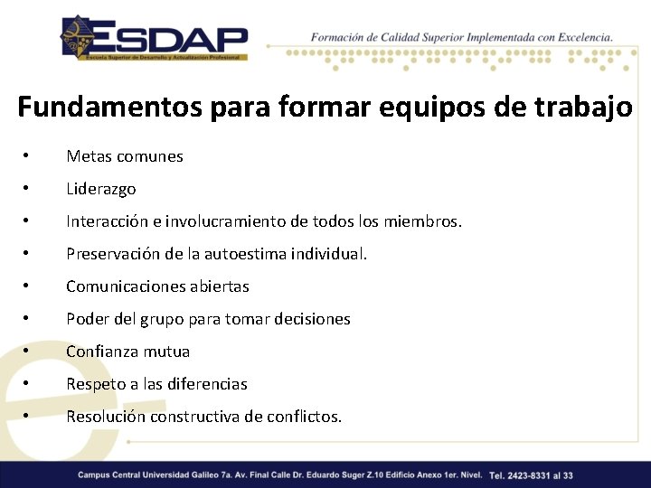 Fundamentos para formar equipos de trabajo • Metas comunes • Liderazgo • Interacción e