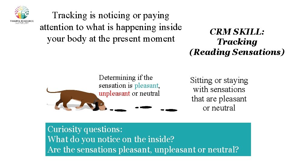 Tracking is noticing or paying attention to what is happening inside your body at