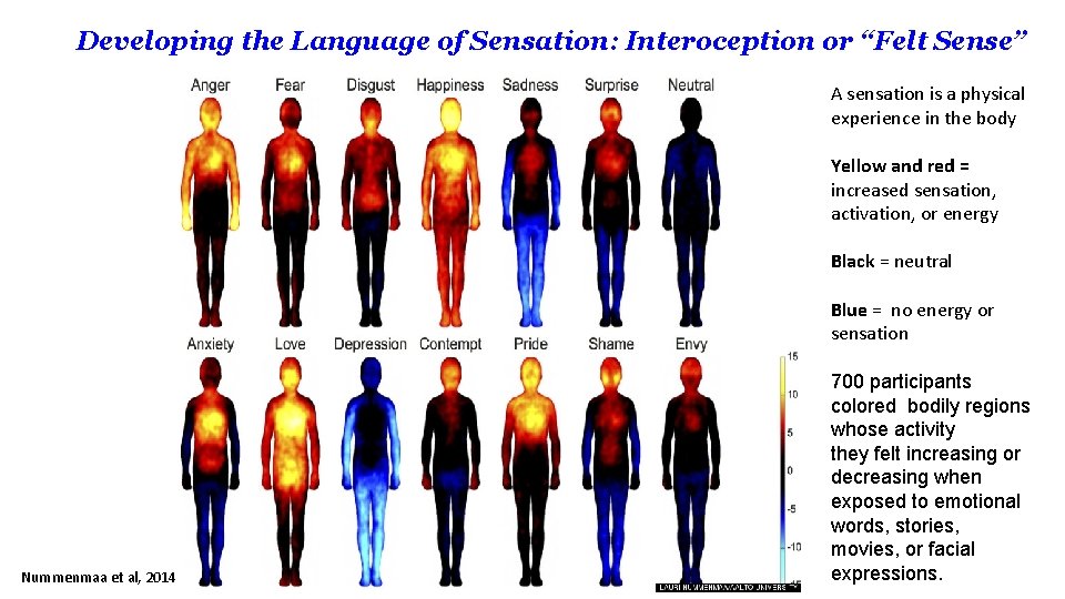 Developing the Language of Sensation: Interoception or “Felt Sense” A sensation is a physical