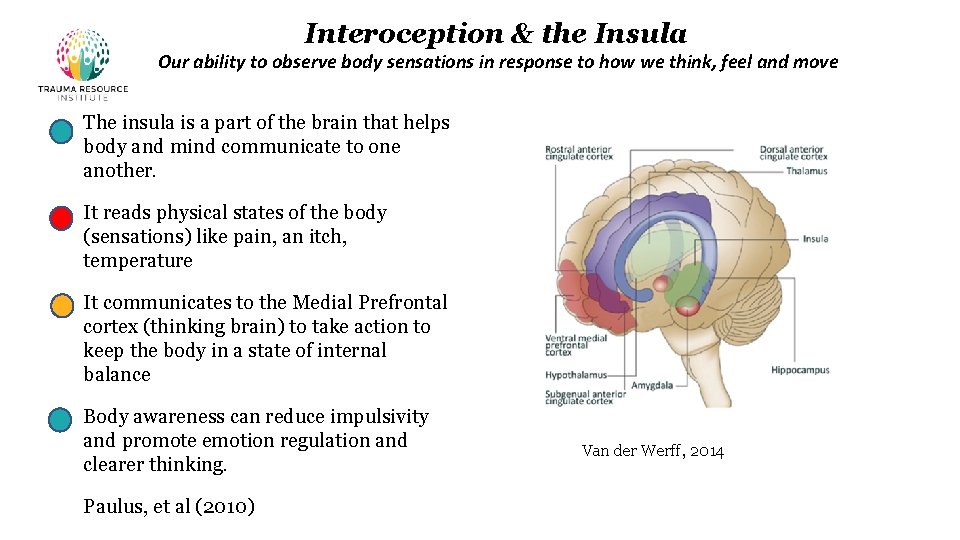 Interoception & the Insula Our ability to observe body sensations in response to how