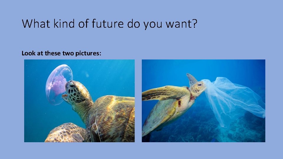 What kind of future do you want? Look at these two pictures: 