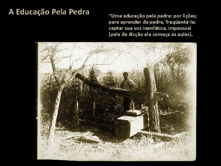 A Educação Pela Pedra “Uma educação pela pedra: por lições; para aprender da pedra,