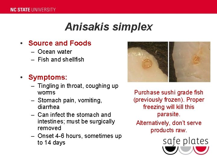 Anisakis simplex • Source and Foods – Ocean water – Fish and shellfish •