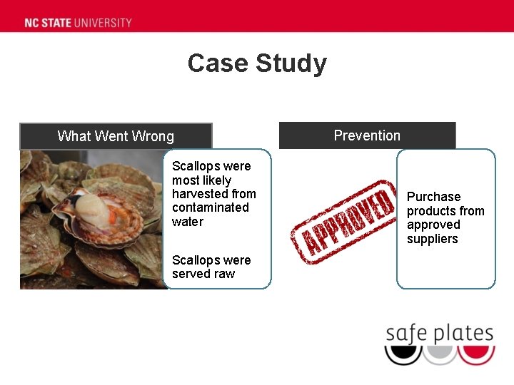 Case Study What Went Wrong Scallops were most likely harvested from contaminated water Scallops