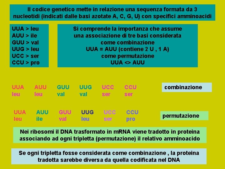 Il codice genetico mette in relazione una sequenza formata da 3 nucleotidi (indicati dalle