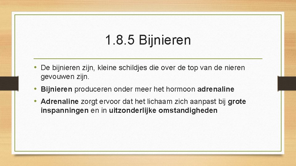 1. 8. 5 Bijnieren • De bijnieren zijn, kleine schildjes die over de top