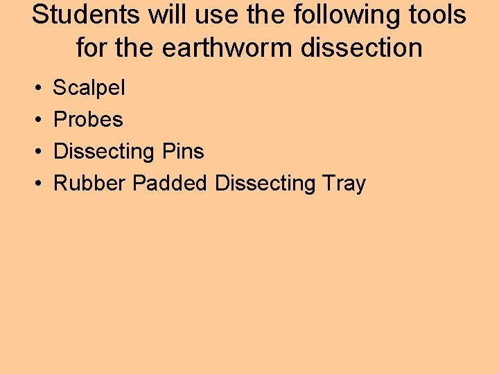 Students will use the following tools for the earthworm dissection • • Scalpel Probes