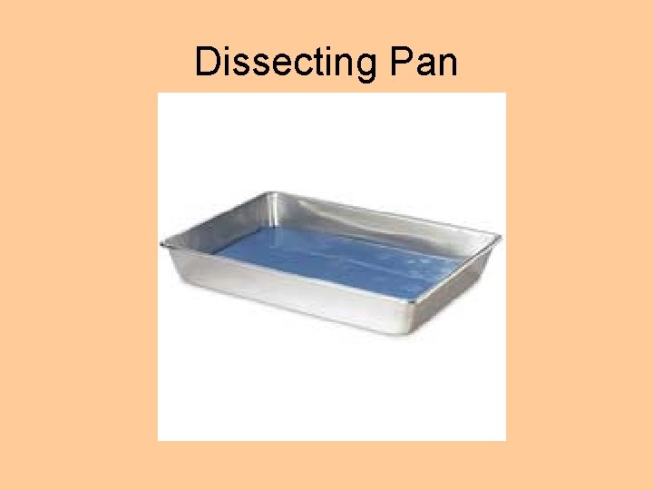 Dissecting Pan 