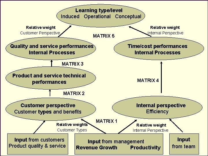 Learning type/level Induced Operational Conceptual Relative weight Customer Perspective MATRIX 5 Quality and service