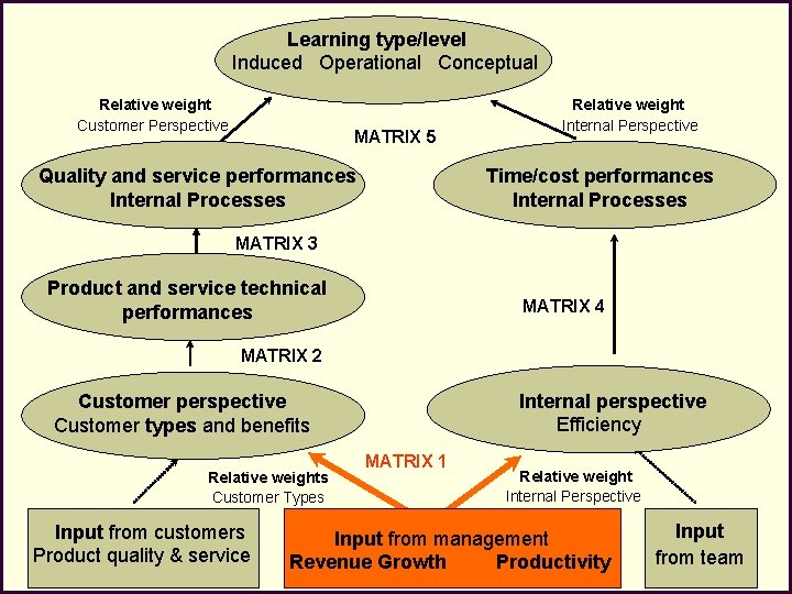 Learning type/level Induced Operational Conceptual Relative weight Customer Perspective MATRIX 5 Quality and service