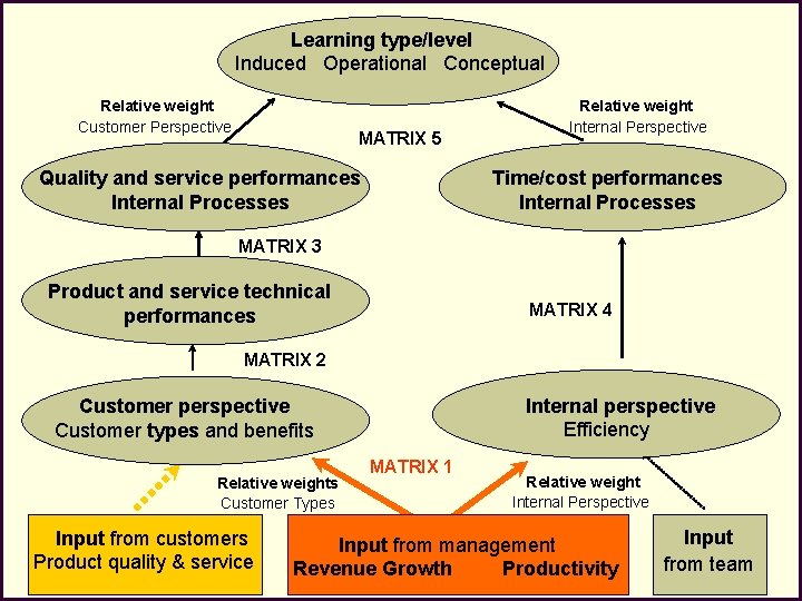 Learning type/level Induced Operational Conceptual Relative weight Customer Perspective MATRIX 5 Quality and service