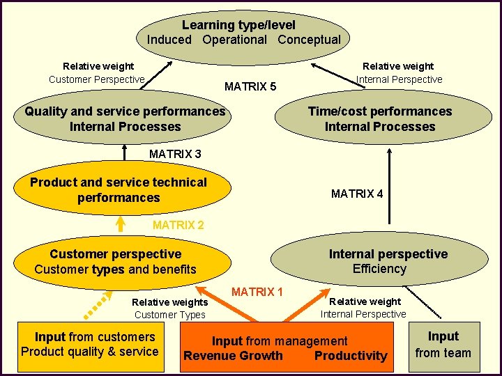 Learning type/level Induced Operational Conceptual Relative weight Customer Perspective MATRIX 5 Quality and service