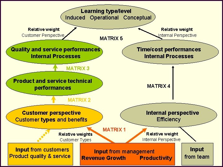Learning type/level Induced Operational Conceptual Relative weight Customer Perspective MATRIX 5 Relative weight Internal