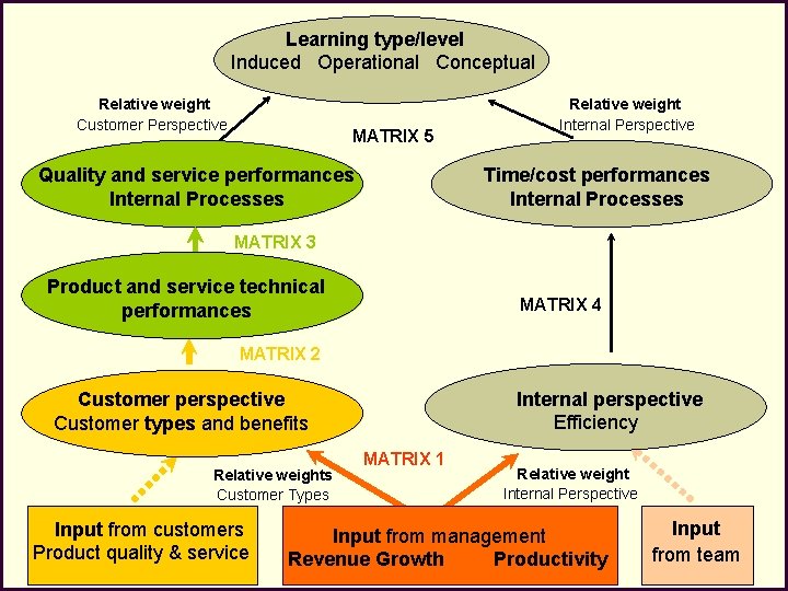 Learning type/level Induced Operational Conceptual Relative weight Customer Perspective MATRIX 5 Relative weight Internal