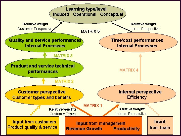 Learning type/level Induced Operational Conceptual Relative weight Customer Perspective MATRIX 5 Relative weight Internal