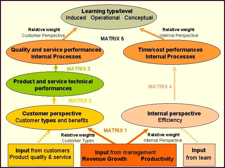 Learning type/level Induced Operational Conceptual Relative weight Customer Perspective MATRIX 5 Relative weight Internal