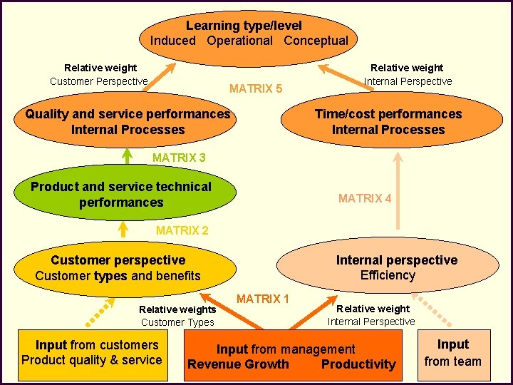 Learning type/level Induced Operational Conceptual Relative weight Customer Perspective MATRIX 5 Relative weight Internal