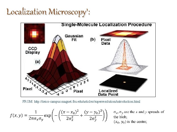 Localization Microscopy 1: FROM: http: //zeiss-campus. magnet. fsu. edu/articles/superresolution/introduction. html 