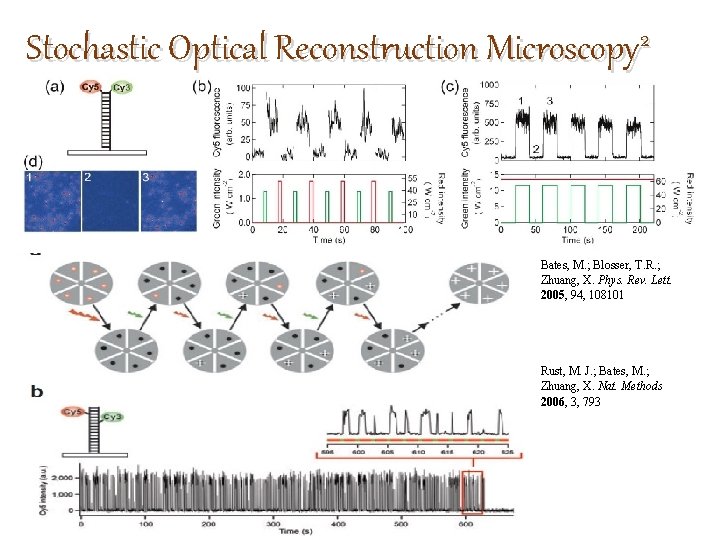 Stochastic Optical Reconstruction Microscopy 2 Bates, M. ; Blosser, T. R. ; Zhuang, X.