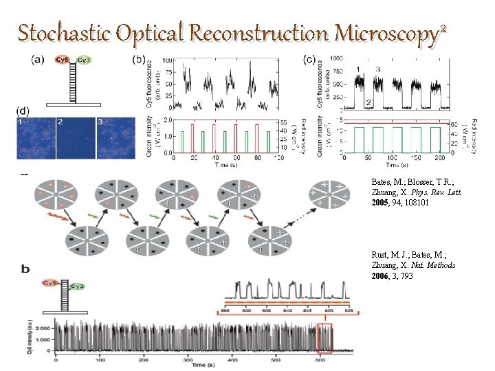 Stochastic Optical Reconstruction Microscopy 2 Bates, M. ; Blosser, T. R. ; Zhuang, X.