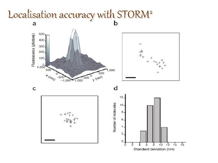 Localisation accuracy with STORM 2 