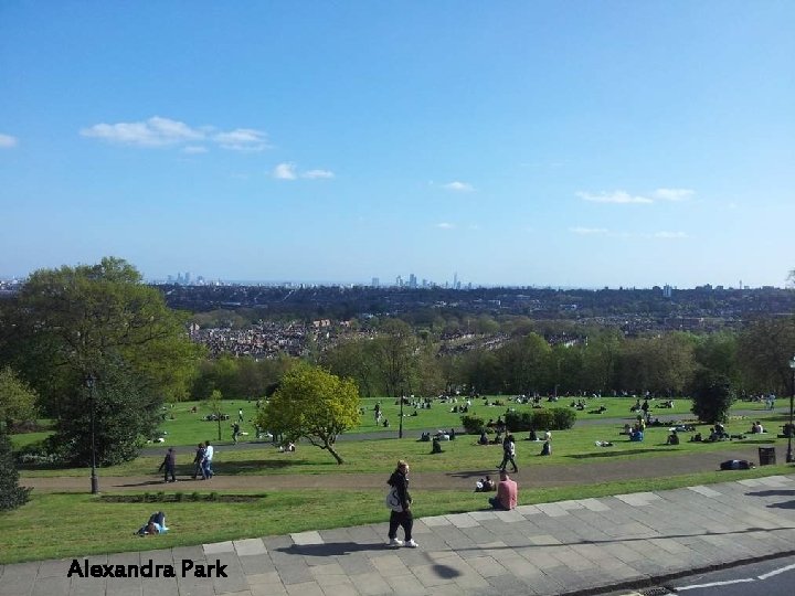 Alexandra Park 