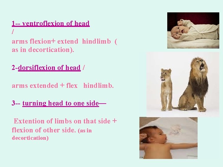 1 -- ventroflexion of head / arms flexion+ extend hindlimb ( as in decortication).