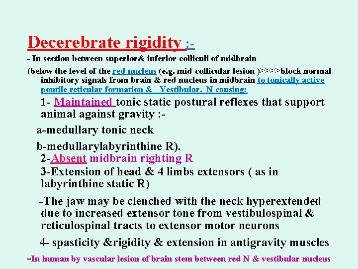 Decerebrate rigidity : - In section between superior& inferior colliculi of midbrain (below the