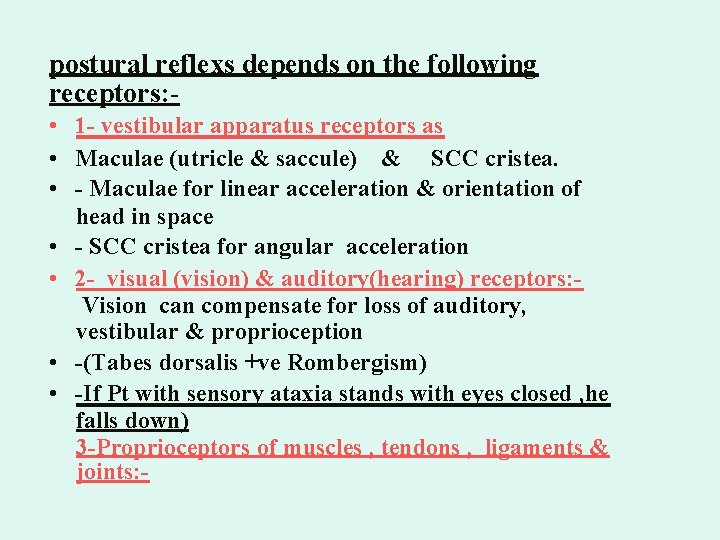postural reflexs depends on the following receptors: • 1 - vestibular apparatus receptors as