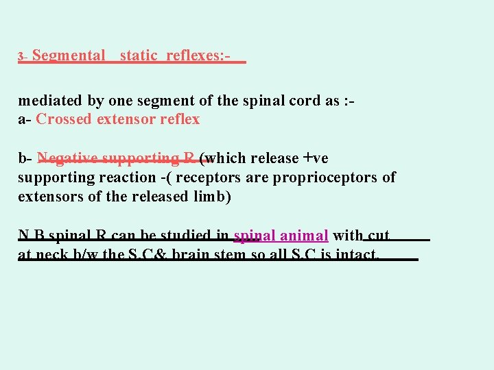 3 - Segmental static reflexes: - mediated by one segment of the spinal cord