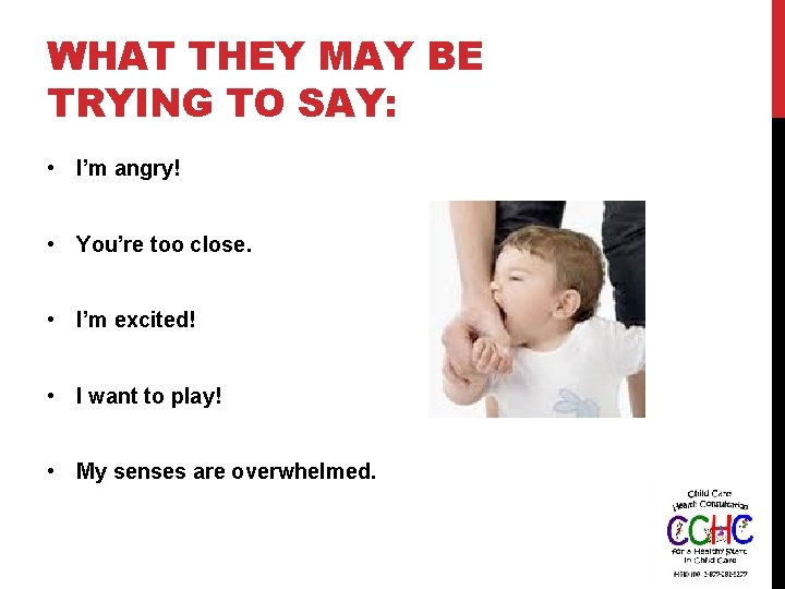WHAT THEY MAY BE TRYING TO SAY: • I’m angry! • You’re too close.