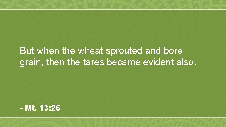 But when the wheat sprouted and bore grain, then the tares became evident also.